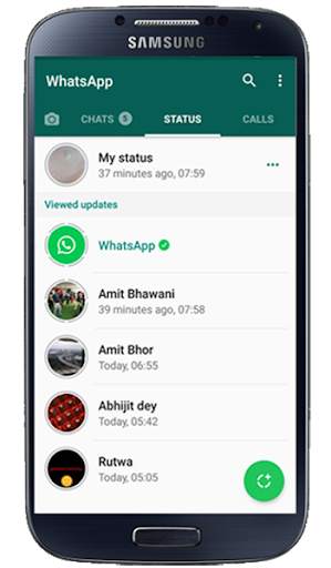 Status Downloader screenshot 1