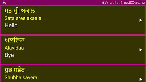 Learn Punjabi From English screenshot 13