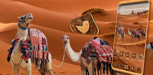 Desert Camel Launcher Theme screenshot 9