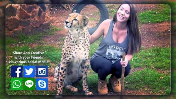Wild Animal Photo Frame screenshot 3
