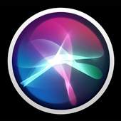 Commands for Siri  Voice 1.0