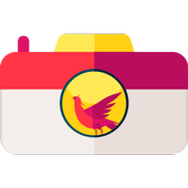 Phoenix Camera icon
