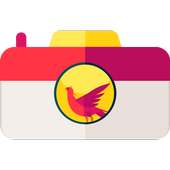 Phoenix Camera on 9Apps