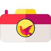 Phoenix Camera 4