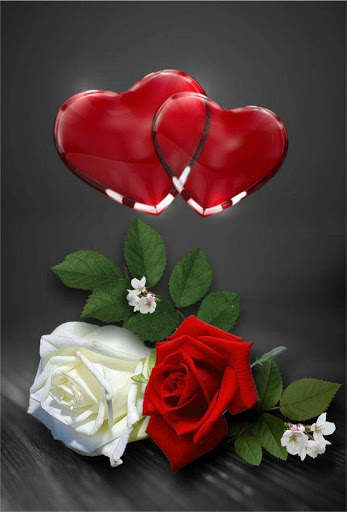 Wonderful Flowers Roses images Gif screenshot 1