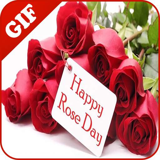 Rose Day GIF 1.3