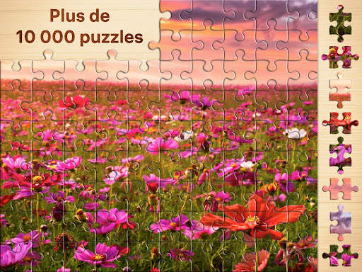 Puzzles - jeux de puzzle screenshot 8