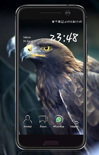 Eagle  Wallpaper screenshot 7