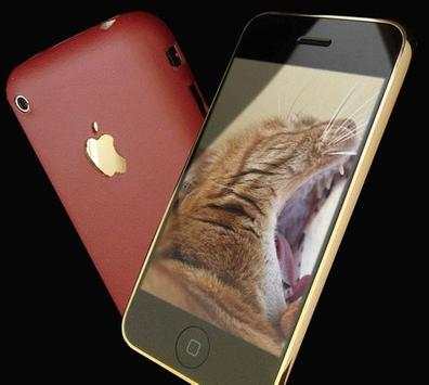 cats wallpapers for whatsapp screenshot 2