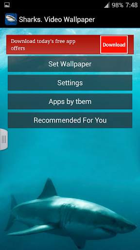 Sharks. Video Wallpaper screenshot 6
