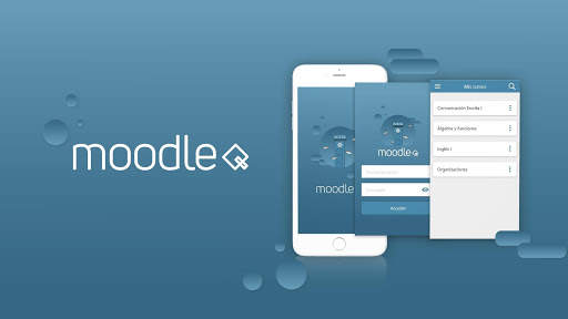 Moodle Icesi screenshot 6