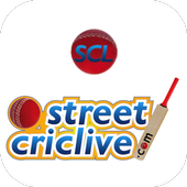 Cricket Scorer for All Matches icon
