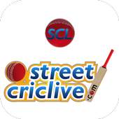 Cricket Scorer for All Matches 1.1