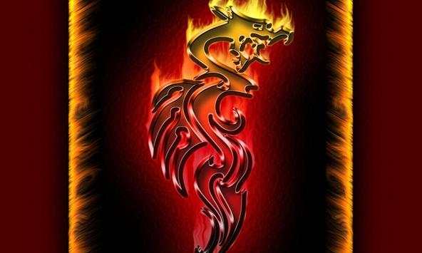 Fire Dragons Wallpapers screenshot 2