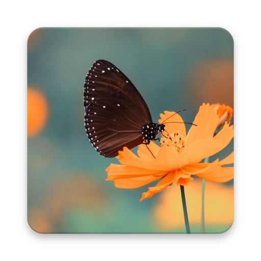 Blur Image Background иконка