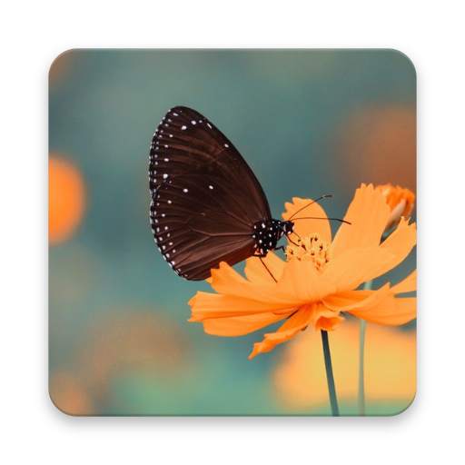 Blur Image Background 2.2