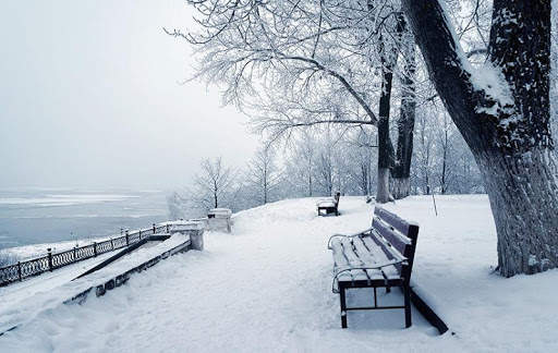 Winter Live Wallpaper screenshot 5