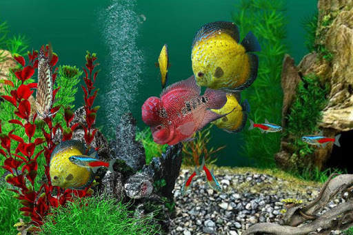 AquaLife 3D скриншот 9