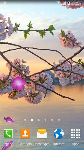Sakura Garden Live Wallpaper screenshot 1