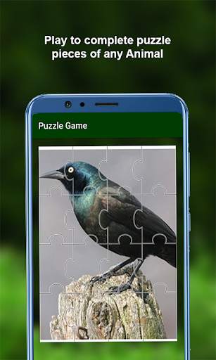 170 Animal Sounds 6 تصوير الشاشة