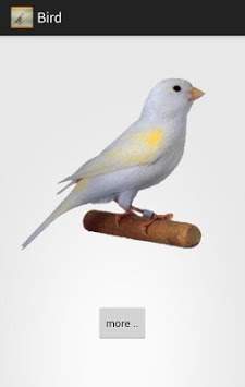 Singing Bird screenshot 1