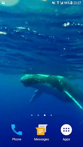 Whale HD Video Live Wallpaper screenshot 3
