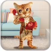 Cat Caller icon