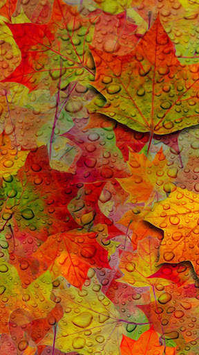 Autumn wallpaper screenshot 7