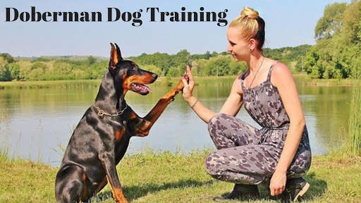 Doberman Dog Training screenshot 9
