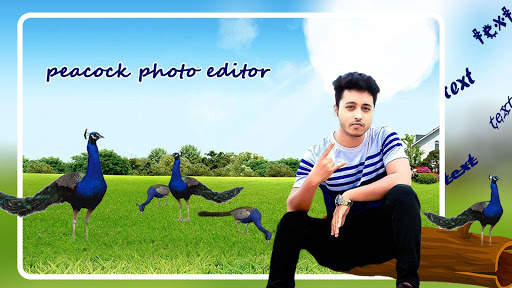 Peacock Photo Editor screenshot 4