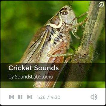 Cricket Sounds screenshot 1