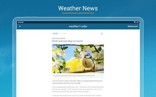Weather & Radar - Storm radar screenshot 24
