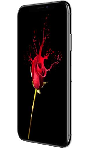 Red Rose Flower Lock Screen, Red Rose wallpapers screenshot 2