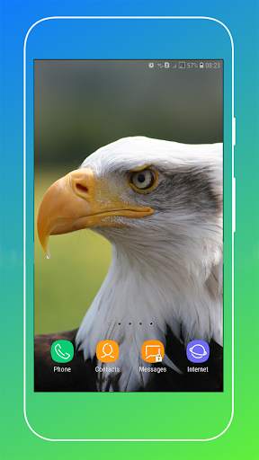 HD Eagle Wallpaper screenshot 14
