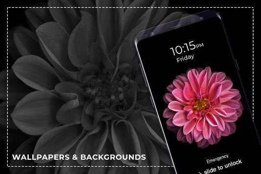 4K Wallpapers, HD Backgrounds screenshot 5