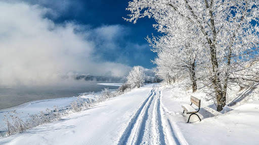 Winter Wallpapers : backgrounds hd screenshot 24