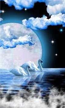 Swans Moon Night LWP screenshot 2
