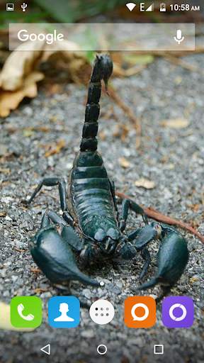 Scorpion HD Wallpaper screenshot 1