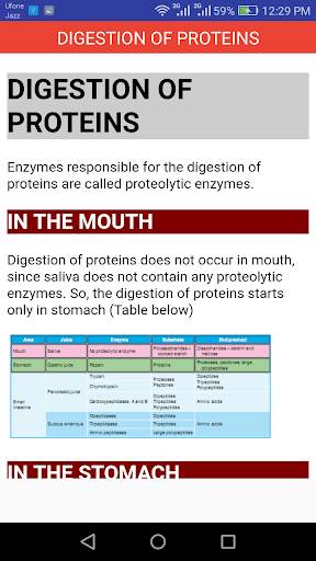 Basic of Digestive System screenshot 3