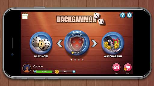 Backgammon-Offline Board Games screenshot 8