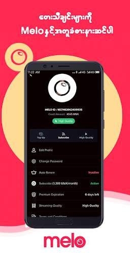 Melo Music screenshot 2