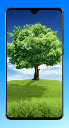 Tree Wallpaper 4K screenshot 13
