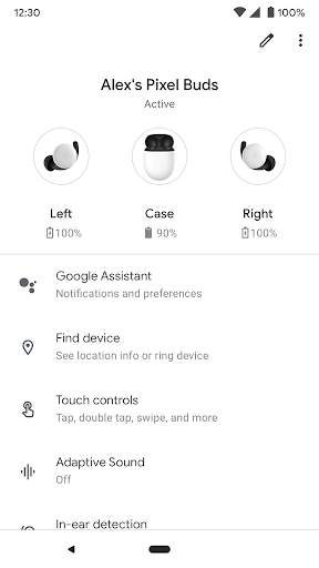 Google Pixel Buds screenshot 1