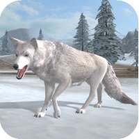 Arctic Wolf