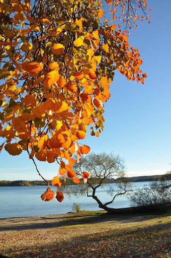 Sweden Wallpaper Travel screenshot 1