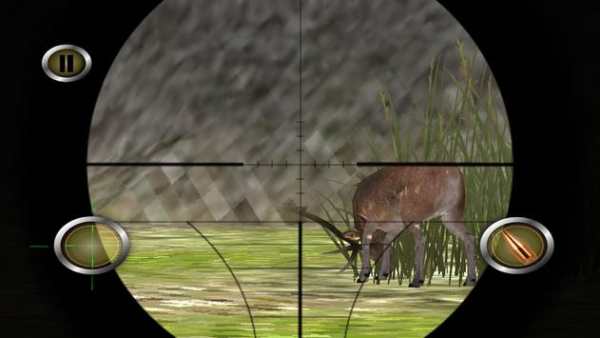 Deer, Bear, Tiger Hunting 2016 4 تصوير الشاشة