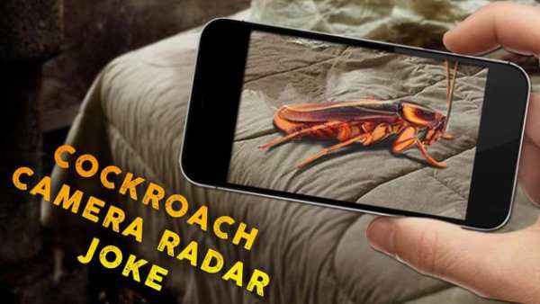 Cockroach Camera Radar Joke screenshot 3