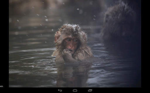 RawDroid Pro screenshot 2