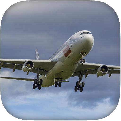 Flight Simulator Airplane 1.1