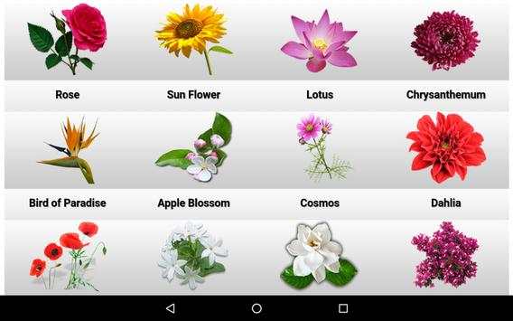 Kids Learner screenshot 5